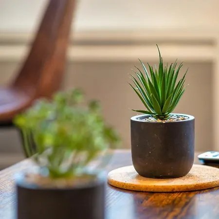 דירה Le Remi Renove Au Coeur De *