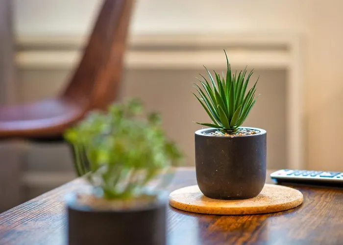 Apartment Le Remi Renove Au Coeur De *